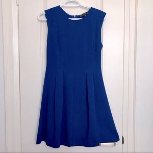 Dynamite Sleeveless Blue Fit and Flare Dress